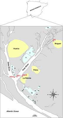 Bacteria From the Multi-Contaminated Tinto River Estuary (SW, Spain) Show High Multi-Resistance to Antibiotics and Point to Paenibacillus spp. as Antibiotic-Resistance-Dissemination Players